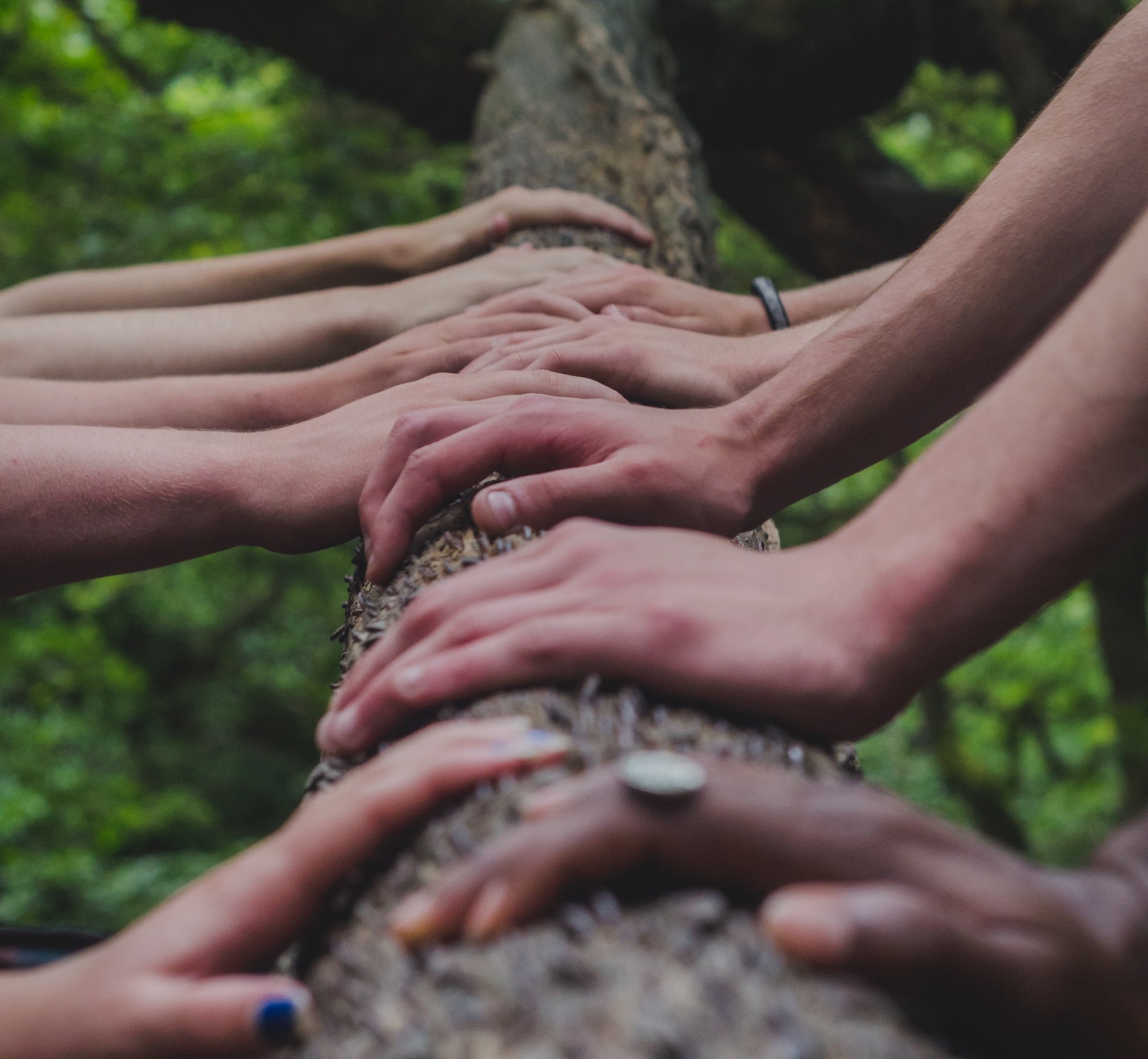 hands placed on tree in unison