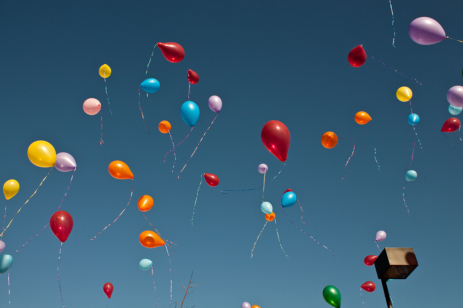 Balloons in the sky