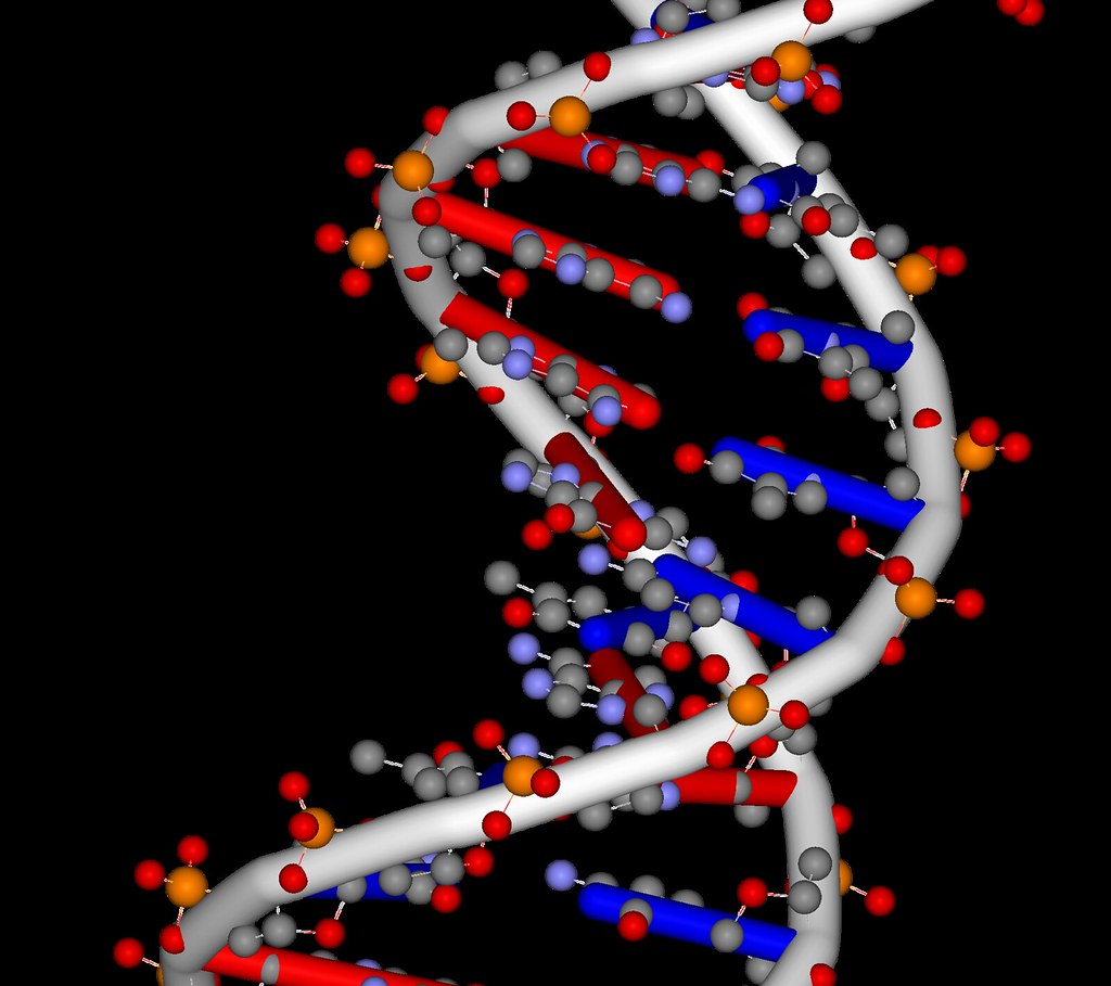 DNA