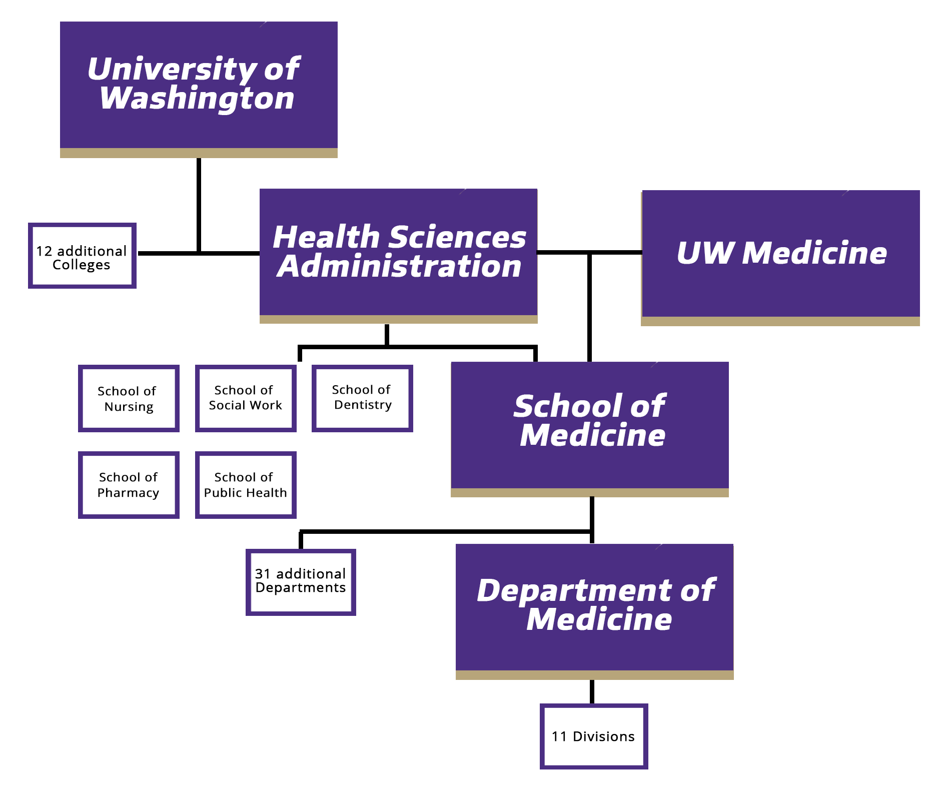 Department of medicine org chart