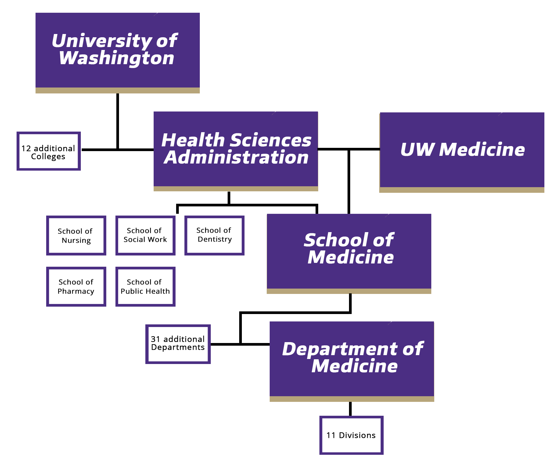 Organizational chart showing the structure of the University of Washington. At the top level is the "University of Washington." Beneath it are three boxes: "12 Colleges," "Health Sciences Administration," and "UW Medicine." Below both "Health Sciences Administration" and "UW Medicine" are six boxes representing various schools: "School of Nursing," "School of Social Work," "School of Dentistry," "School of Pharmacy," "School of Public Health," and "School of Medicine." Beneath "School of Medicine" are two boxes: "31 Departments" and "Department of Medicine." Below "Department of Medicine" is a box labeled "11 Divisions."