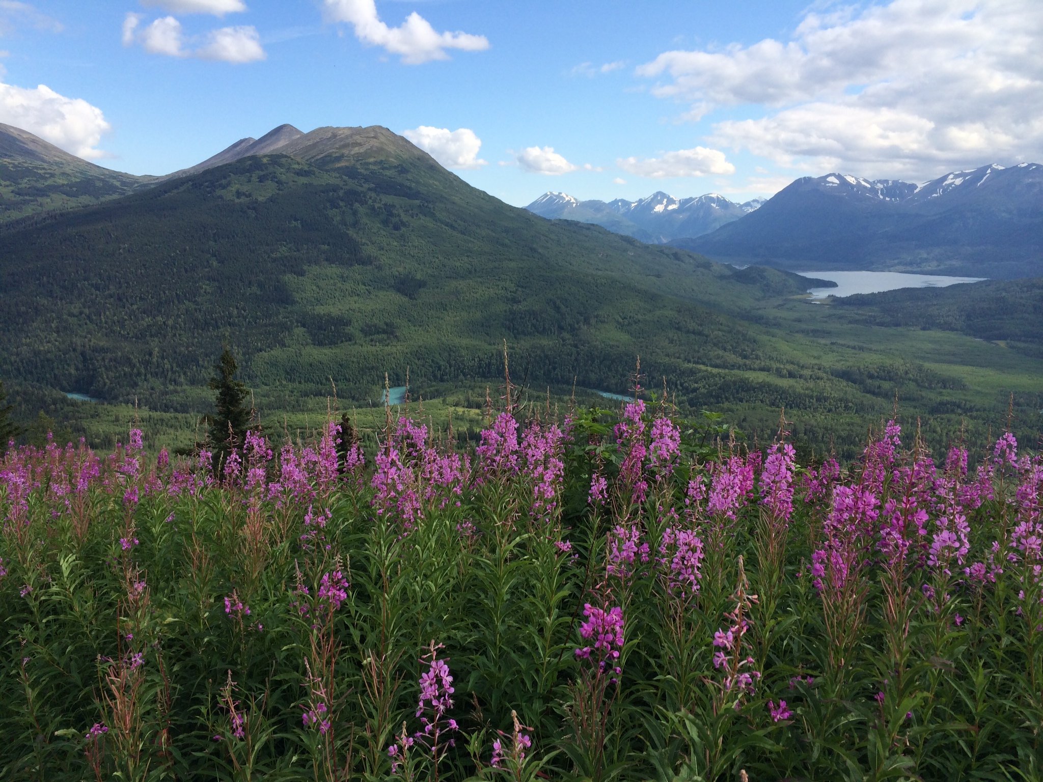 View from Skilak Lookout Trail, Kenai National Wildlife Refuge