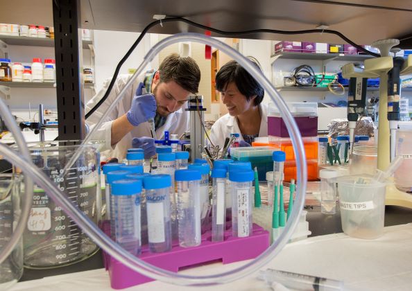 Research lab training