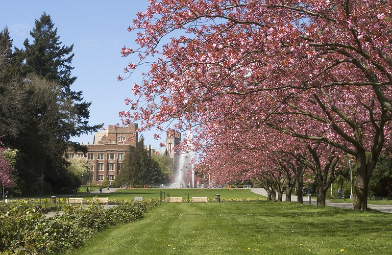 UW Campus