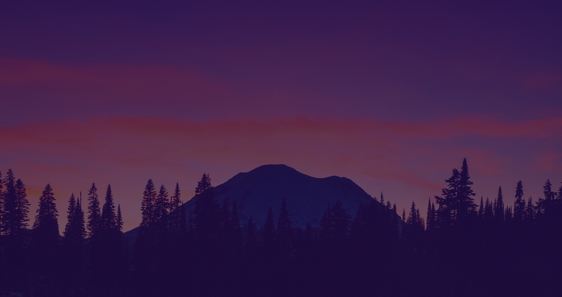 Mt. Rainier in the afternoon light
