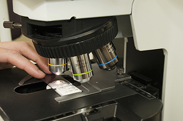 Microscope