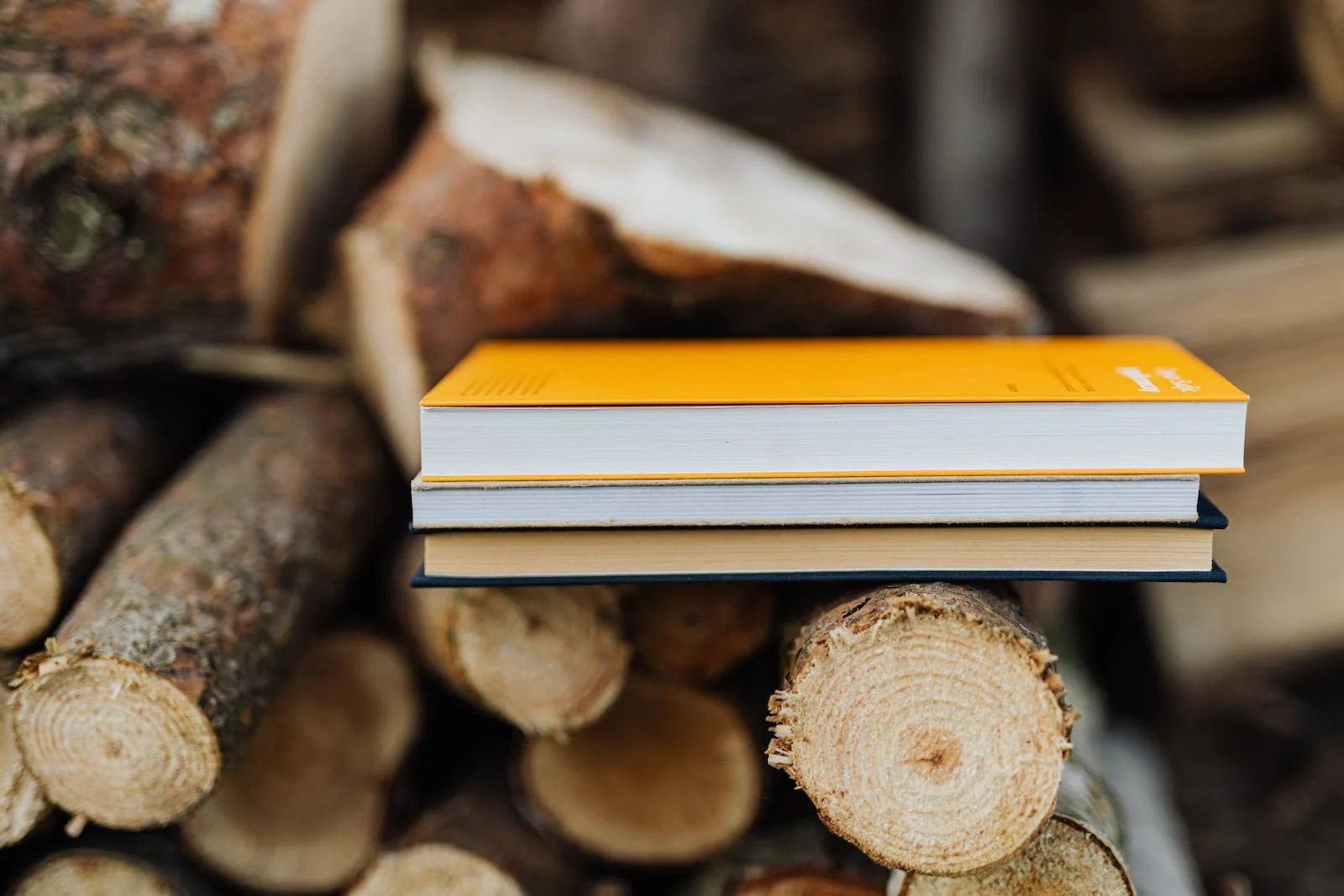 Books on logs stock image