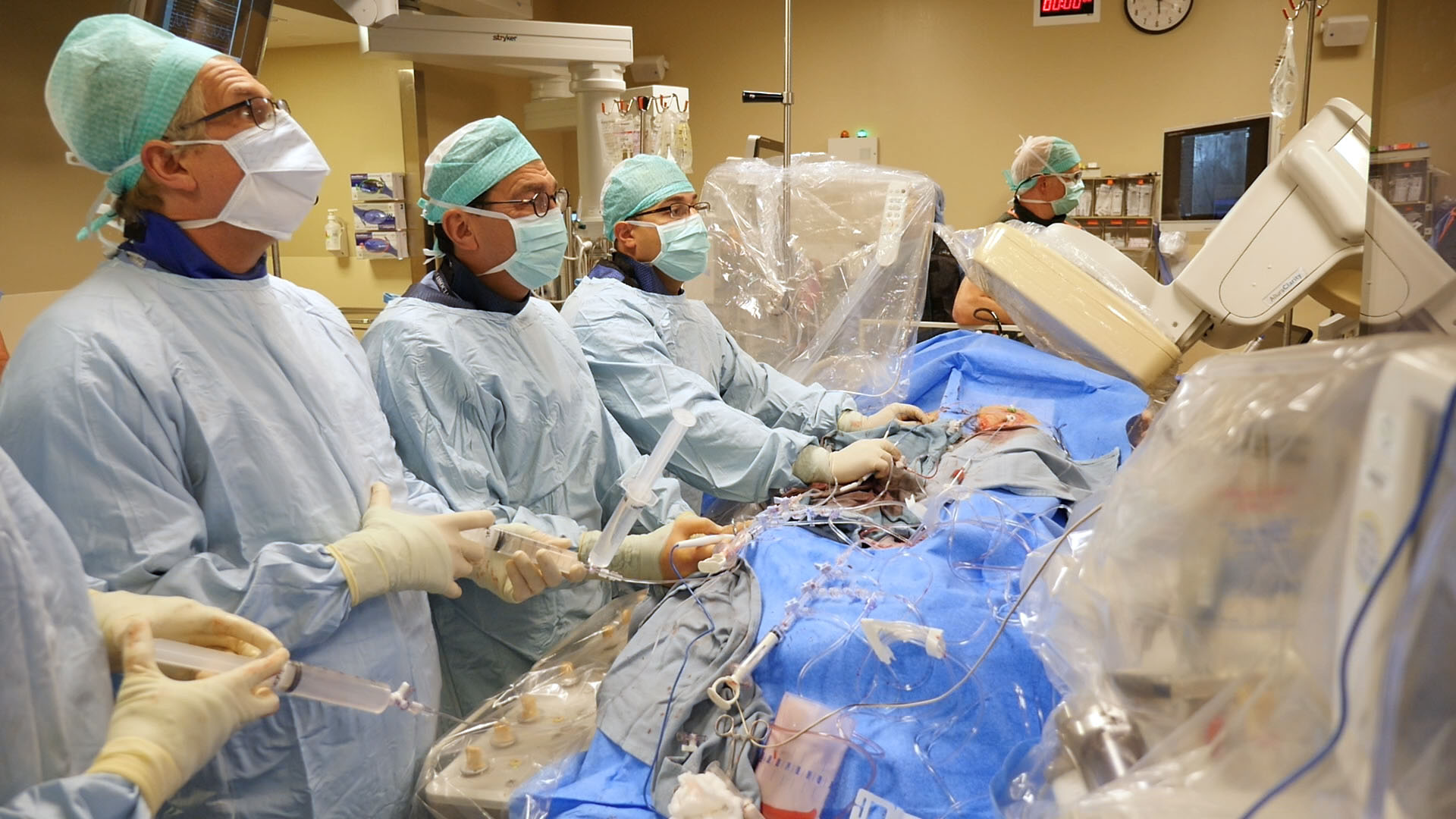 Physicians performing transcatheter aortic valve leaflet modification