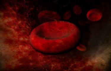 Red bloodcells