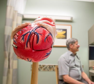 Model of the heart