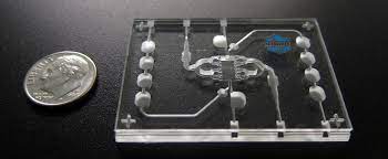Kidney-on-a-chip. Kidney Research Institute.