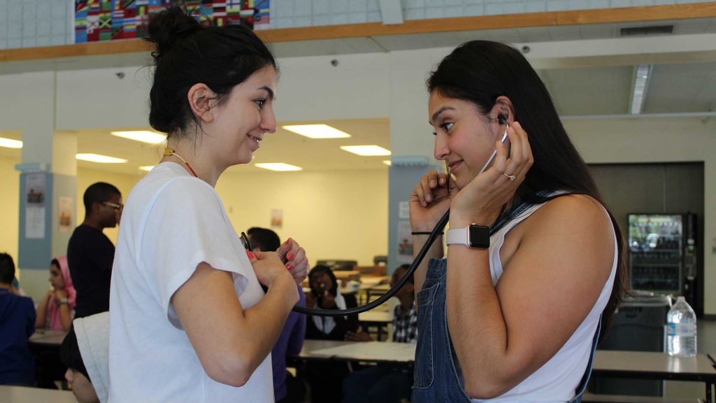 students learning about medicine